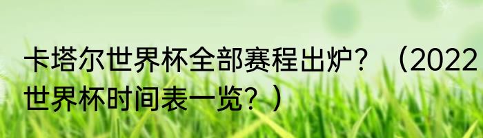 卡塔尔世界杯全部赛程出炉？（2022世界杯时间表一览？）