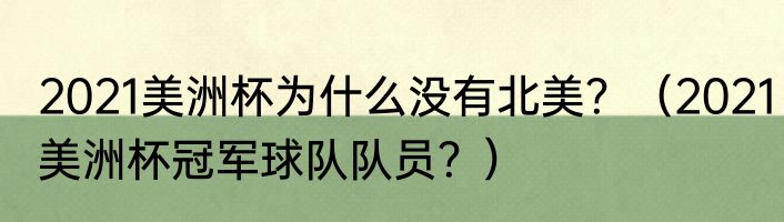 2021美洲杯为什么没有北美？（2021美洲杯冠军球队队员？）