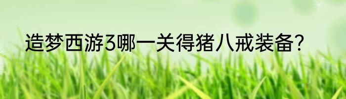 造梦西游3哪一关得猪八戒装备？