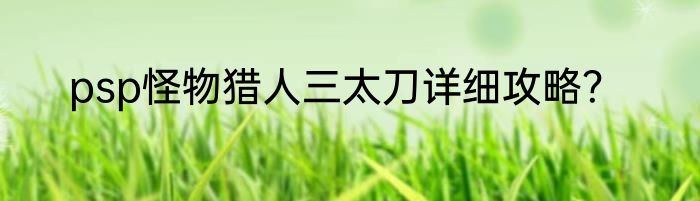 psp怪物猎人三太刀详细攻略？