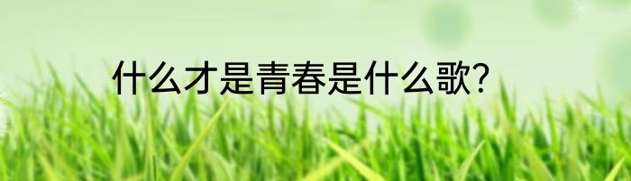 什么才是青春是什么歌？