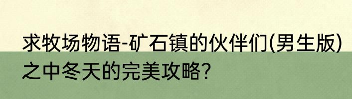 求牧场物语-矿石镇的伙伴们(男生版)之中冬天的完美攻略？