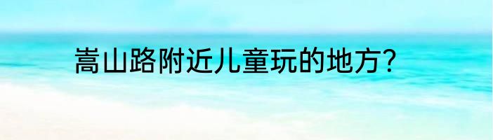 嵩山路附近儿童玩的地方？