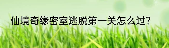 仙境奇缘密室逃脱第一关怎么过？