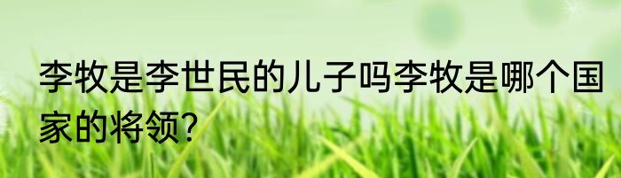 李牧是李世民的儿子吗李牧是哪个国家的将领？