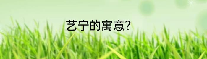 艺宁的寓意？