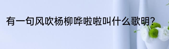 有一句风吹杨柳哗啦啦叫什么歌明？