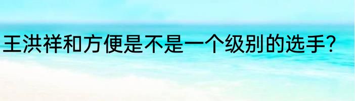 王洪祥和方便是不是一个级别的选手？