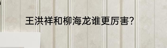 王洪祥和柳海龙谁更厉害？