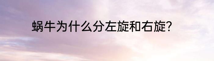 蜗牛为什么分左旋和右旋？
