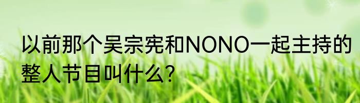 以前那个吴宗宪和NONO一起主持的整人节目叫什么？