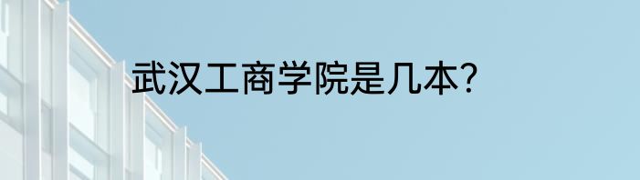武汉工商学院是几本？