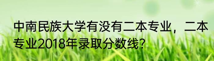 中南民族大学有没有二本专业，二本专业2018年录取分数线？