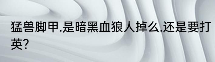 猛兽脚甲.是暗黑血狼人掉么.还是要打英？