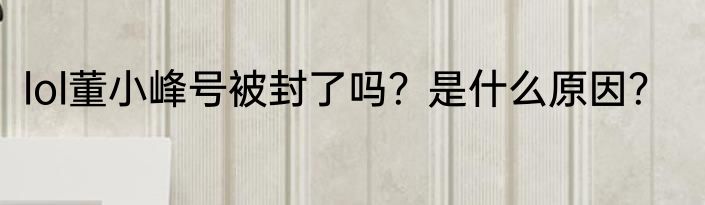 lol董小峰号被封了吗？是什么原因？