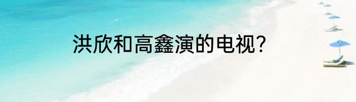 洪欣和高鑫演的电视？