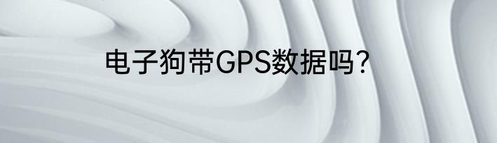 电子狗带GPS数据吗？