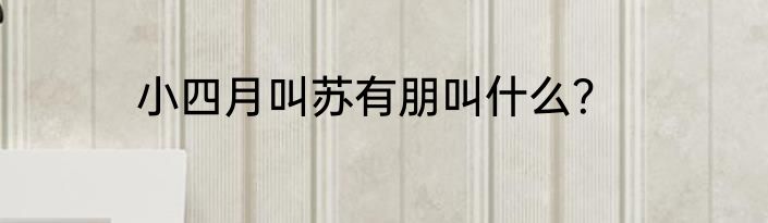 小四月叫苏有朋叫什么？