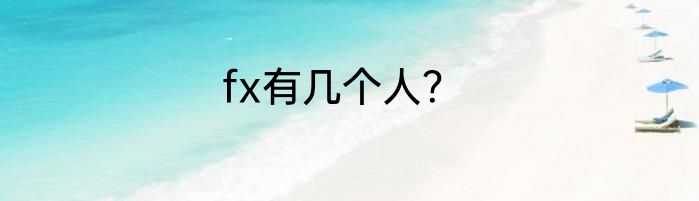 fx有几个人？