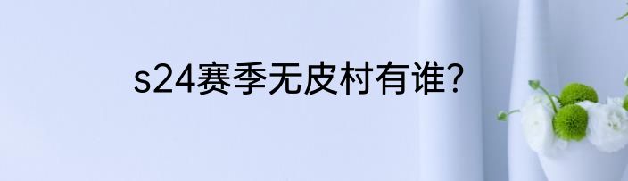 s24赛季无皮村有谁？