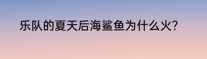 乐队的夏天后海鲨鱼为什么火？