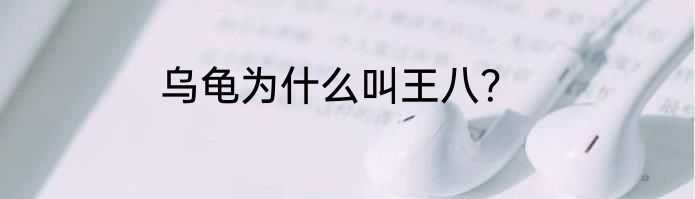 乌龟为什么叫王八？