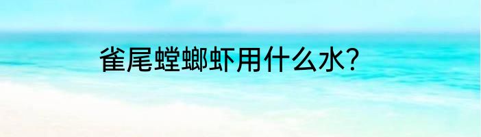雀尾螳螂虾用什么水？