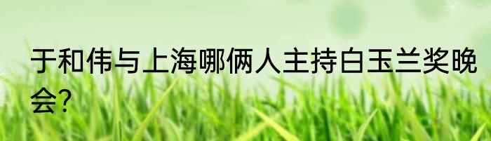 于和伟与上海哪俩人主持白玉兰奖晚会？