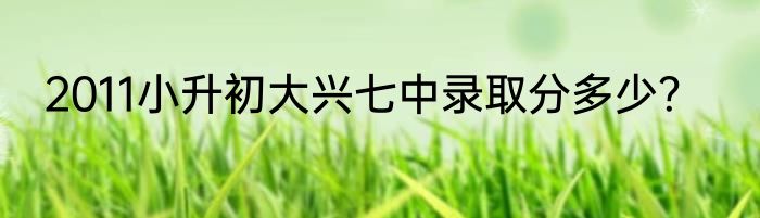 2011小升初大兴七中录取分多少？