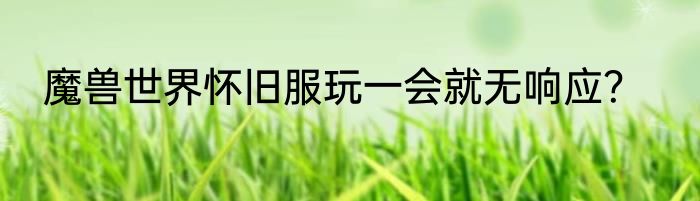 魔兽世界怀旧服玩一会就无响应？