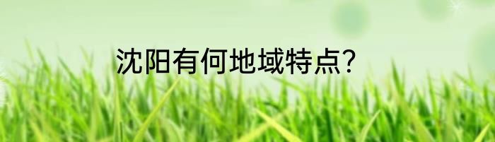 沈阳有何地域特点？