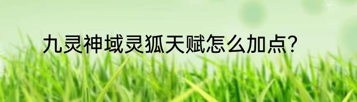 九灵神域灵狐天赋怎么加点？