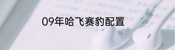 09年哈飞赛豹配置