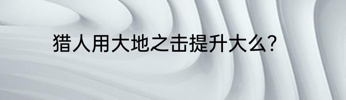 猎人用大地之击提升大么？