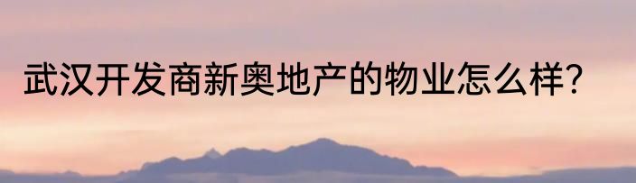 武汉开发商新奥地产的物业怎么样？
