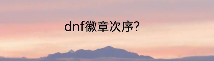 dnf徽章次序？