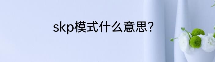 skp模式什么意思？