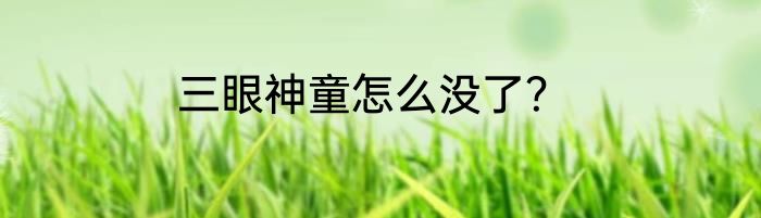 三眼神童怎么没了？