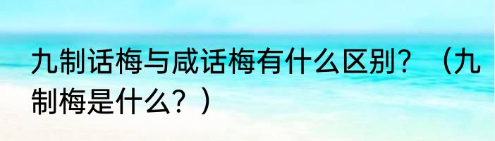九制话梅与咸话梅有什么区别？（九制梅是什么？）