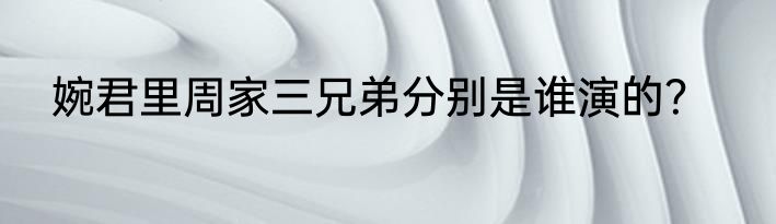 婉君里周家三兄弟分别是谁演的？