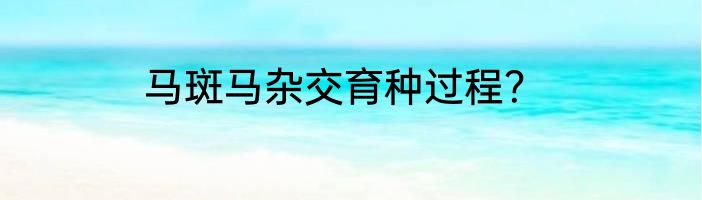 马斑马杂交育种过程？