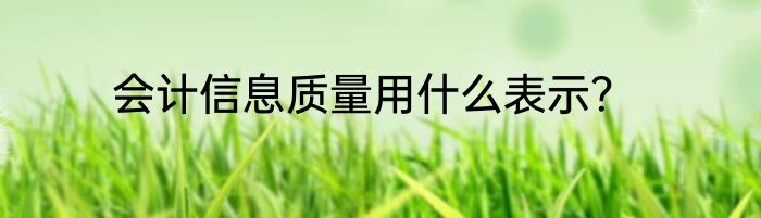 会计信息质量用什么表示？