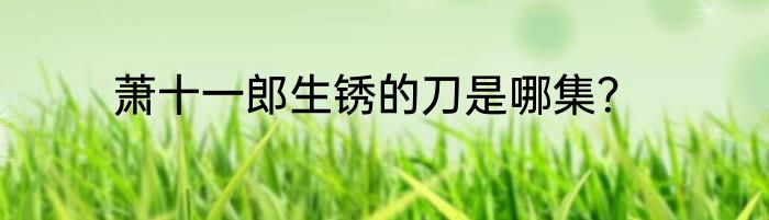 萧十一郎生锈的刀是哪集？