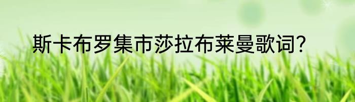 斯卡布罗集市莎拉布莱曼歌词？