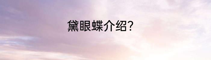 黛眼蝶介绍？