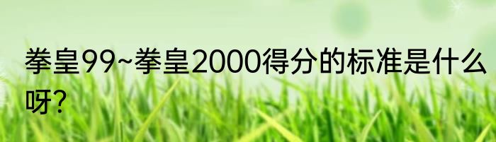 拳皇99~拳皇2000得分的标准是什么呀？