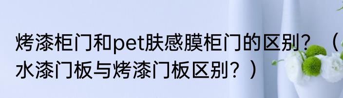 烤漆柜门和pet肤感膜柜门的区别？（水漆门板与烤漆门板区别？）