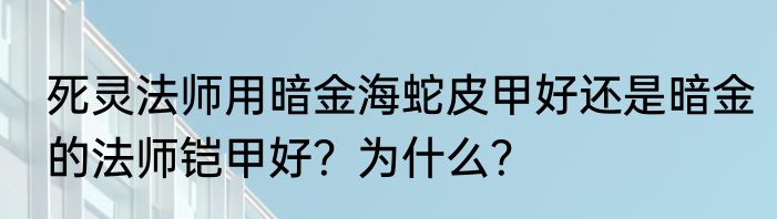 死灵法师用暗金海蛇皮甲好还是暗金的法师铠甲好？为什么？