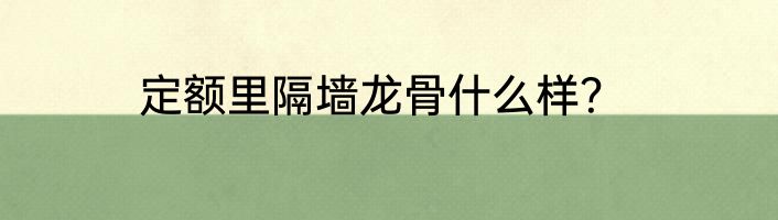 定额里隔墙龙骨什么样？