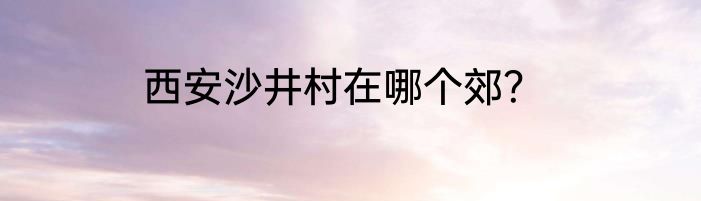 西安沙井村在哪个郊？